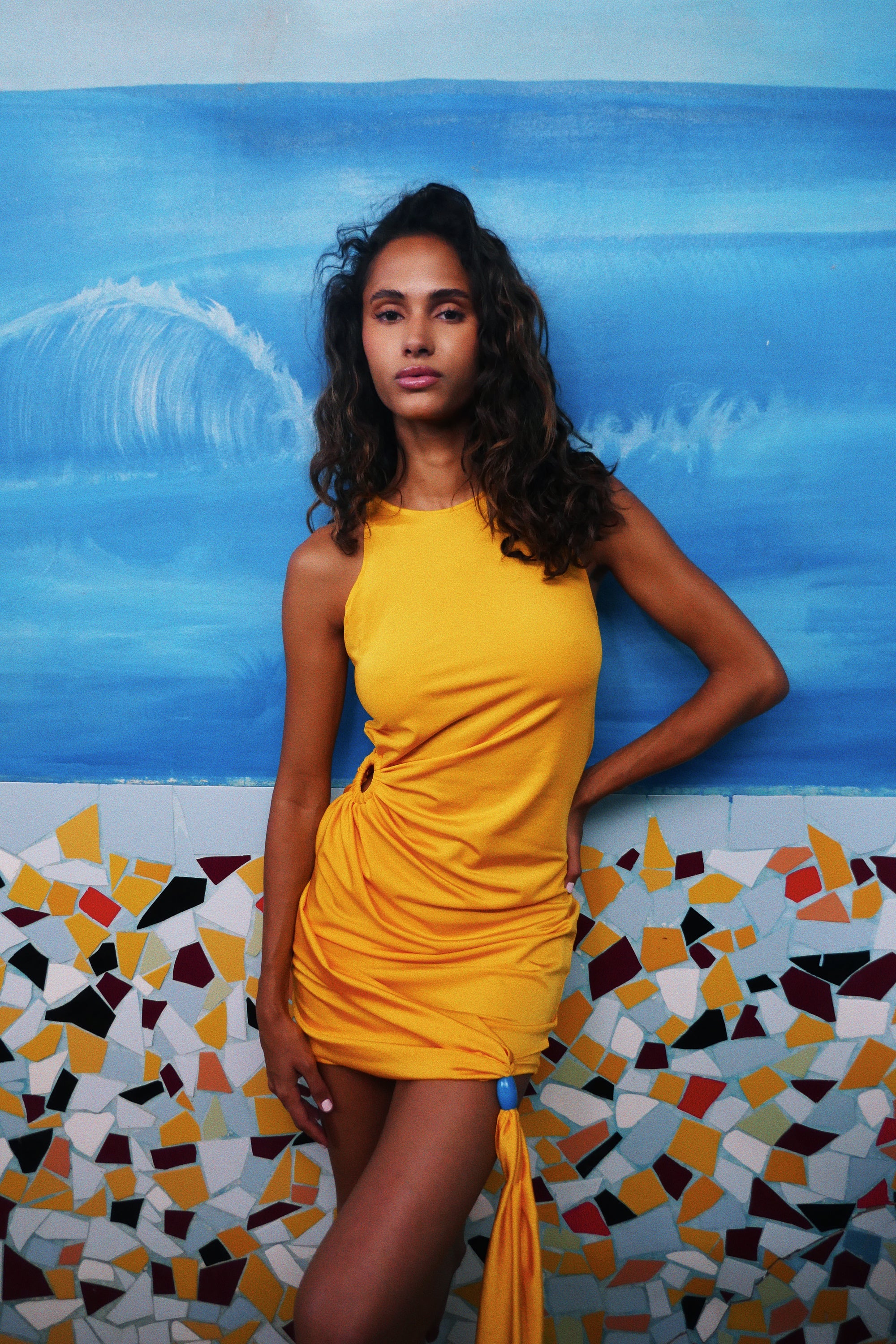 Gazelle Dress